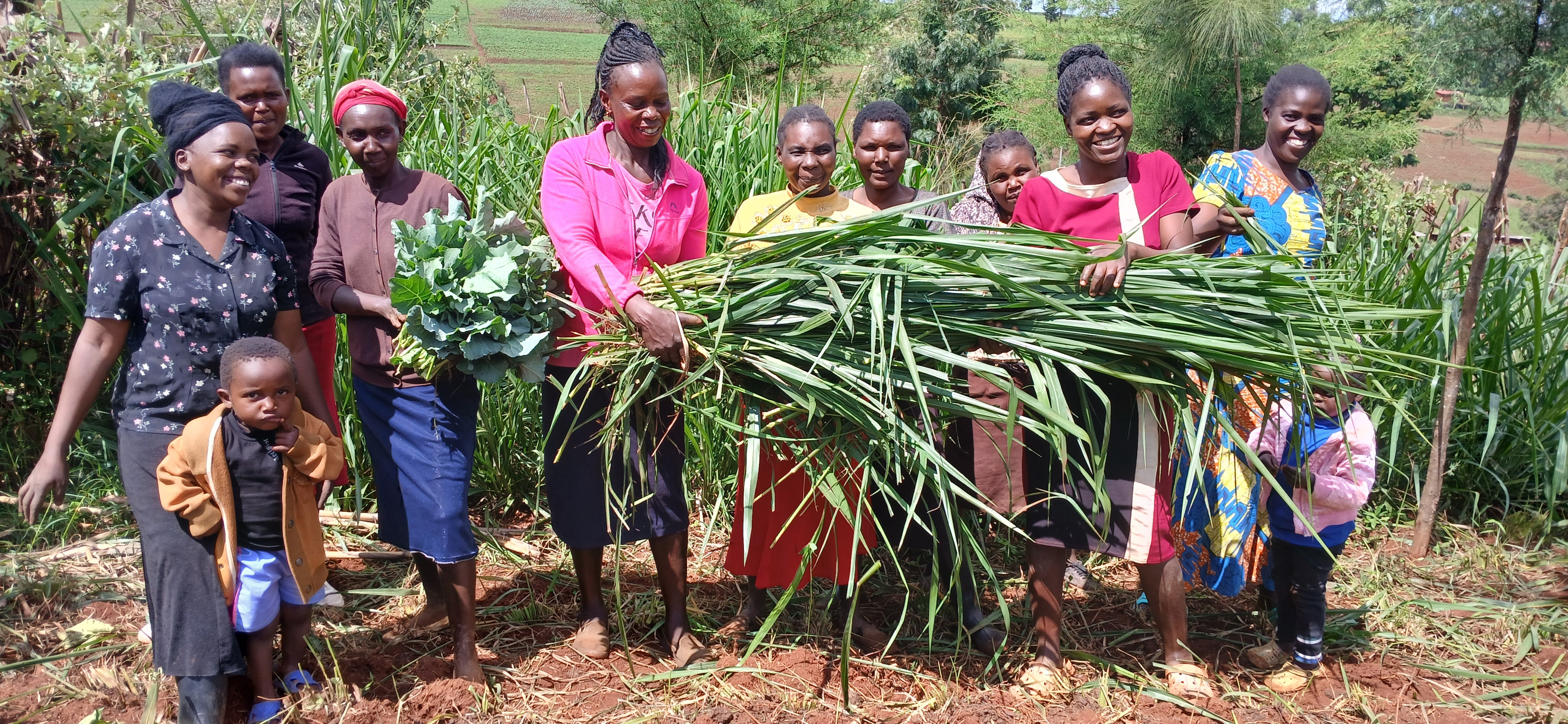 https://d1l97138avwug7.cloudfront.net/Lakweyeet-Women-group-members-celebrating-their-first-harvest-of-grass.jpg