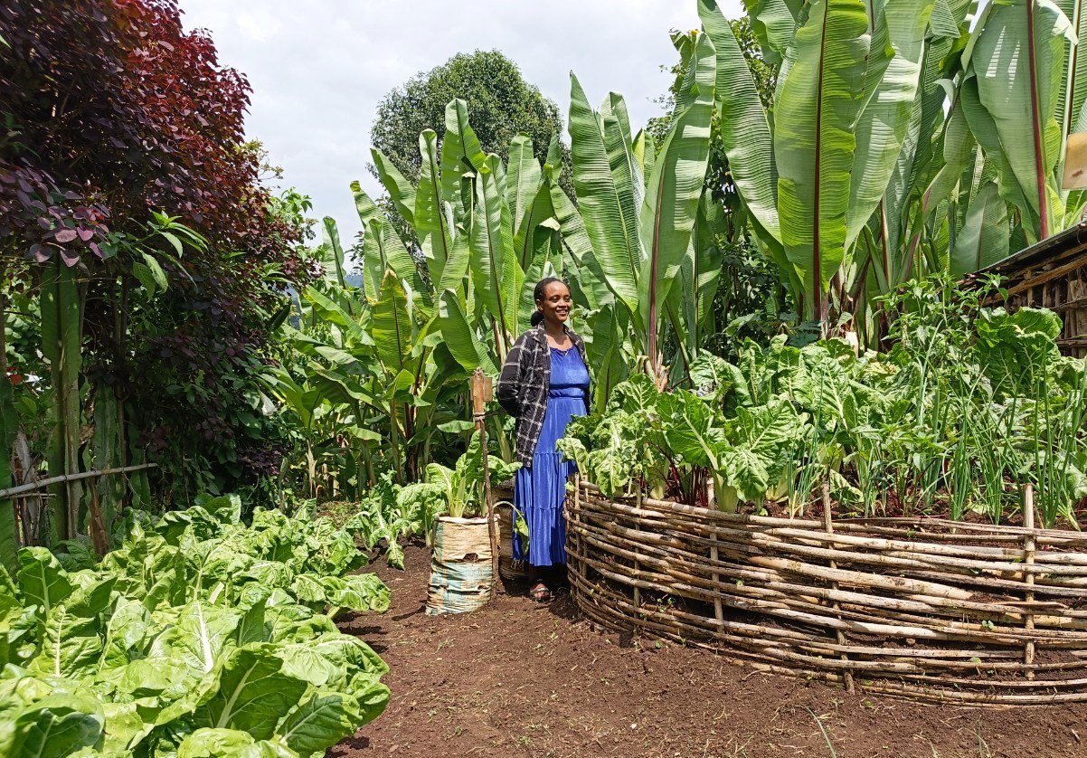 https://d1l97138avwug7.cloudfront.net/Picture-Keyhole-garden-Abu-Adola.jpg
