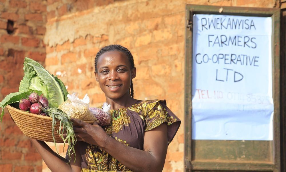 Ripple Effect Market systems