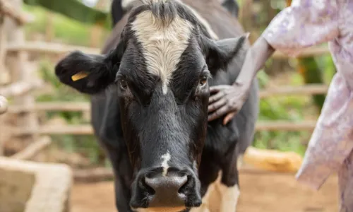 Ripple Effect | Blogs