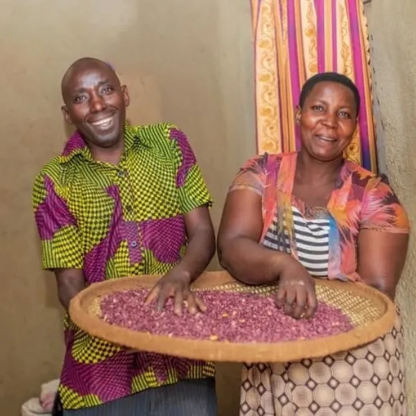 Ripple Effect | African vacancies