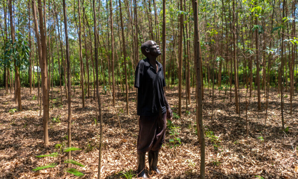 Ripple Effect | A Rwandan farmer's view of the climate crisis