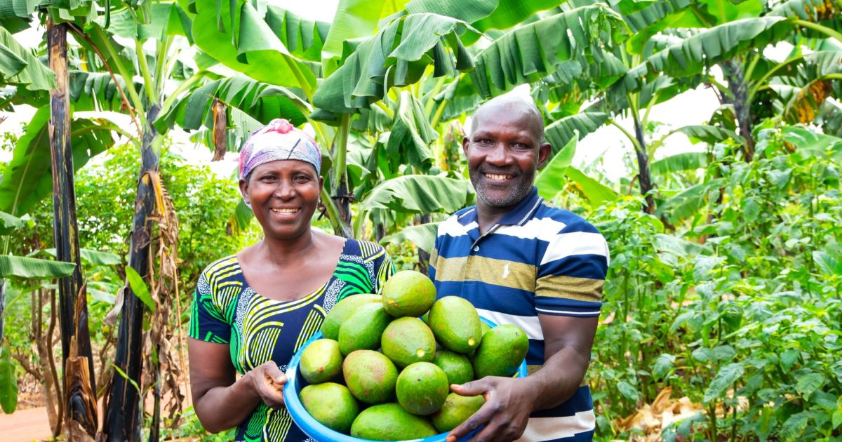 Ripple Effect | Rwanda