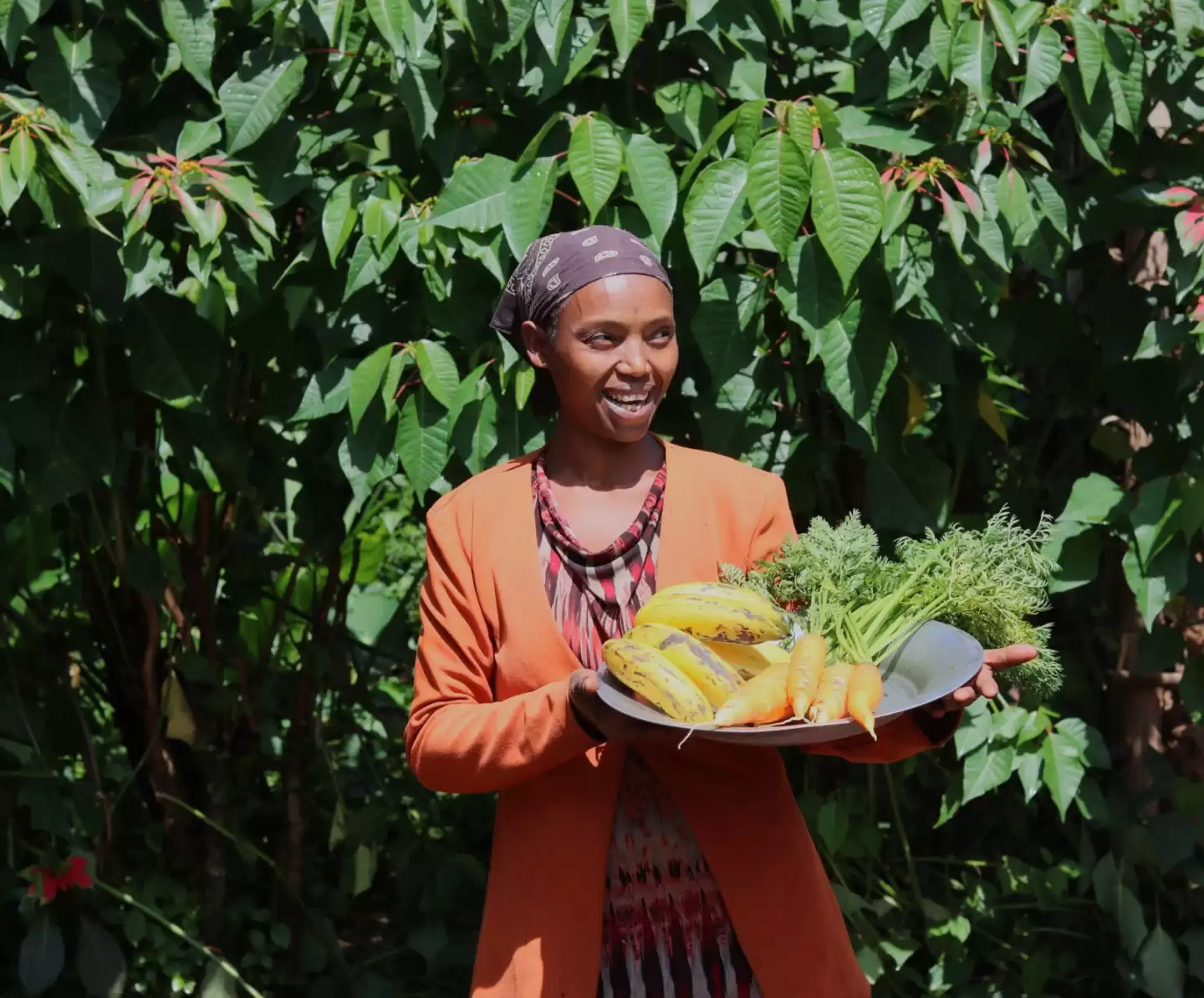 Amaracholdi with her banana and carrot crops