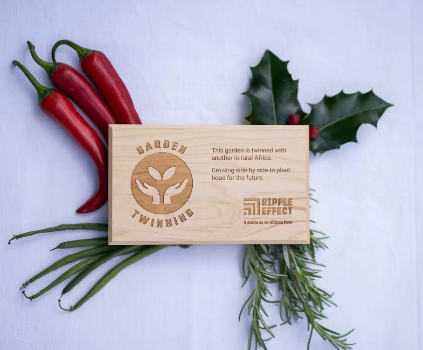 Picture of Garden Twinning plaque with Christmas decorations