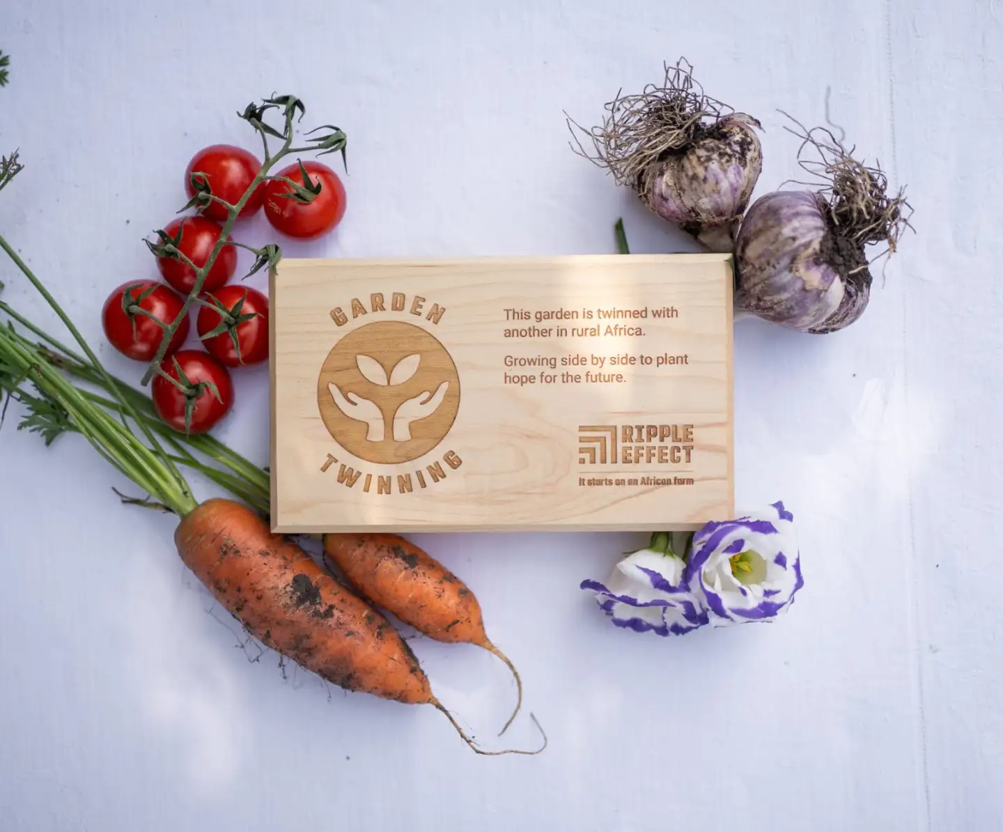 Picture of Garden Twinning plaque with Christmas decorations