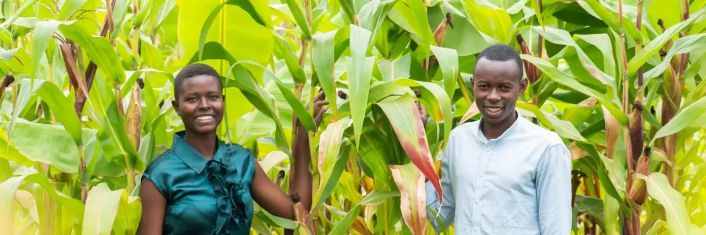 Alfred and Lillian, Rwandan farmers, with their thriving crops