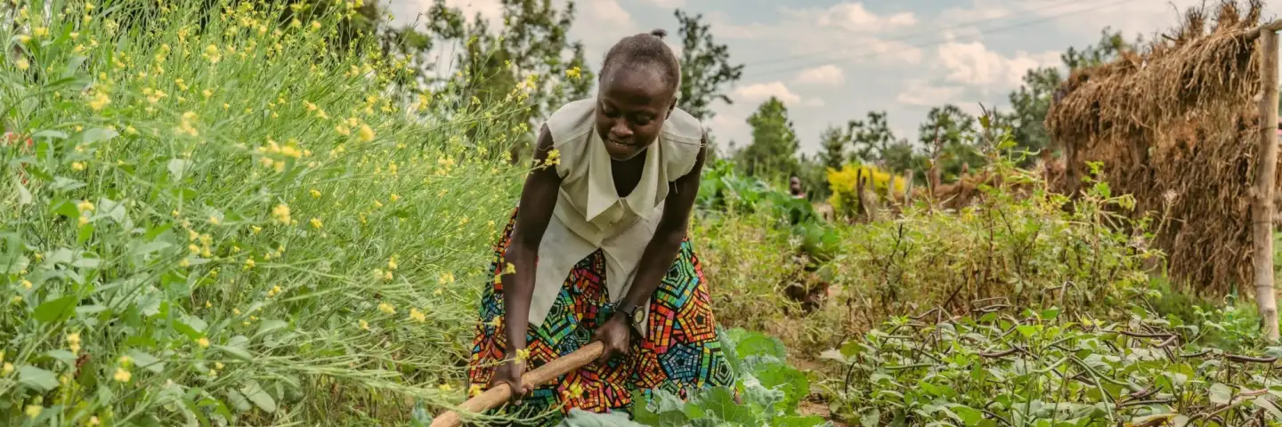 Young Kenyan woman, tending to her parents' thriving land