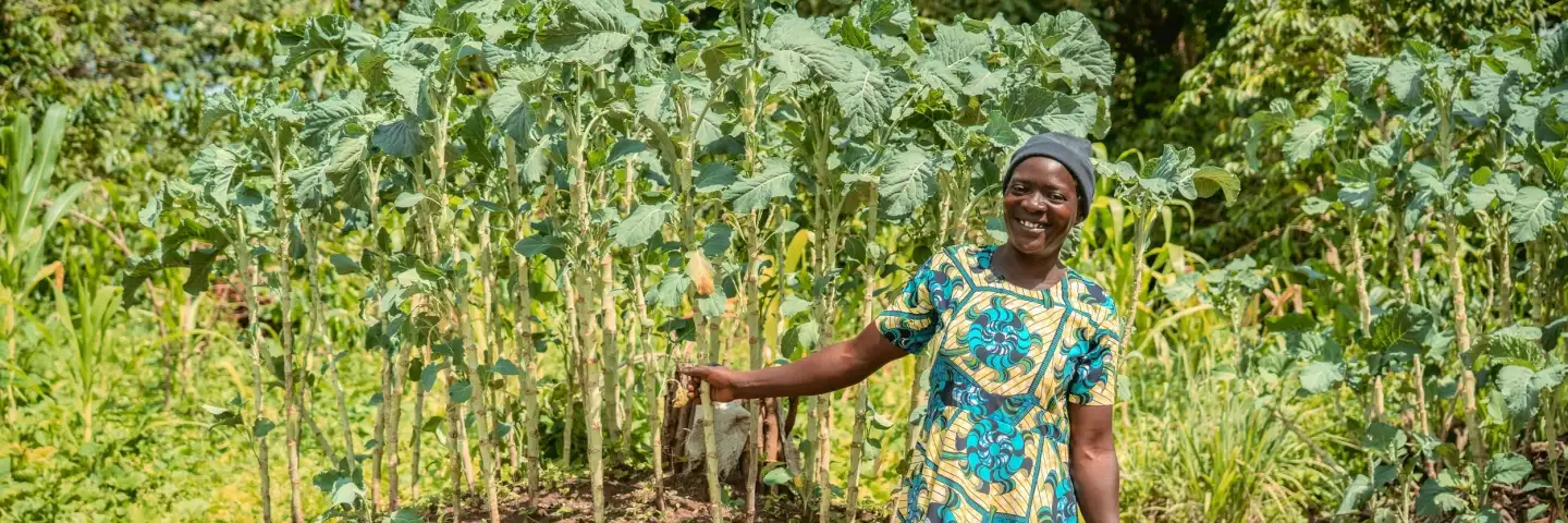 Kenyan woman wearing a yellow and blue dress, standing outside by her keyhole garden, a raised circular bed with long crops and surrounded by intertwined branches