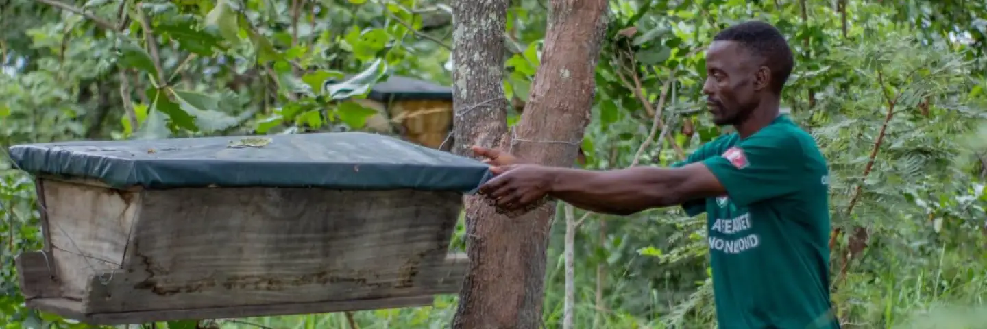 Zambian beekeeper with his beehive made of wood
