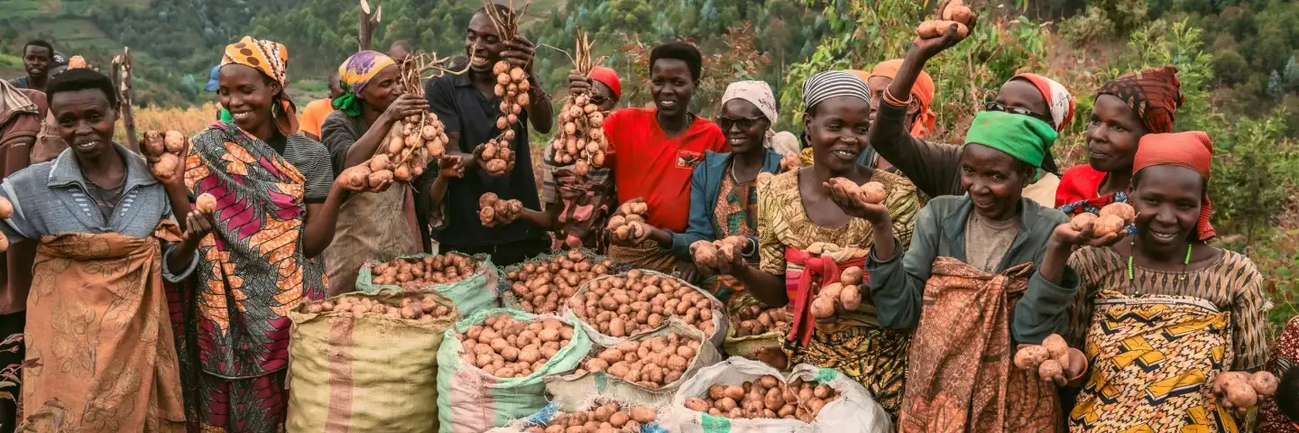 Group of Burundian farmers showing their large potato harvest, smiling and chatting
