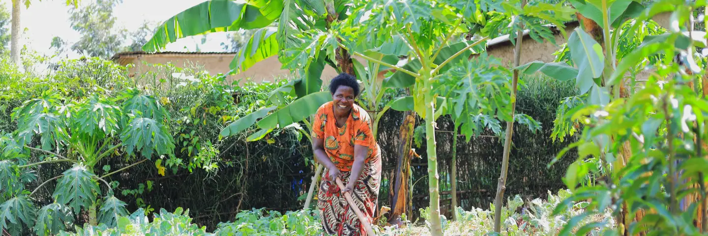 Rwandan woman, working in her thriving kitchen garden, looking at the camera smiling