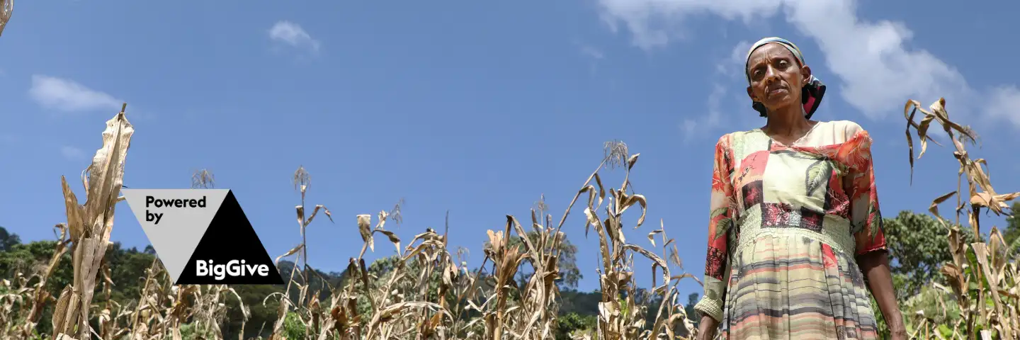 A woman farmer stands in a drought-damaged maize field in rural Ethiopia, surrounded by dry, withered crops beneath a bright blue sky.