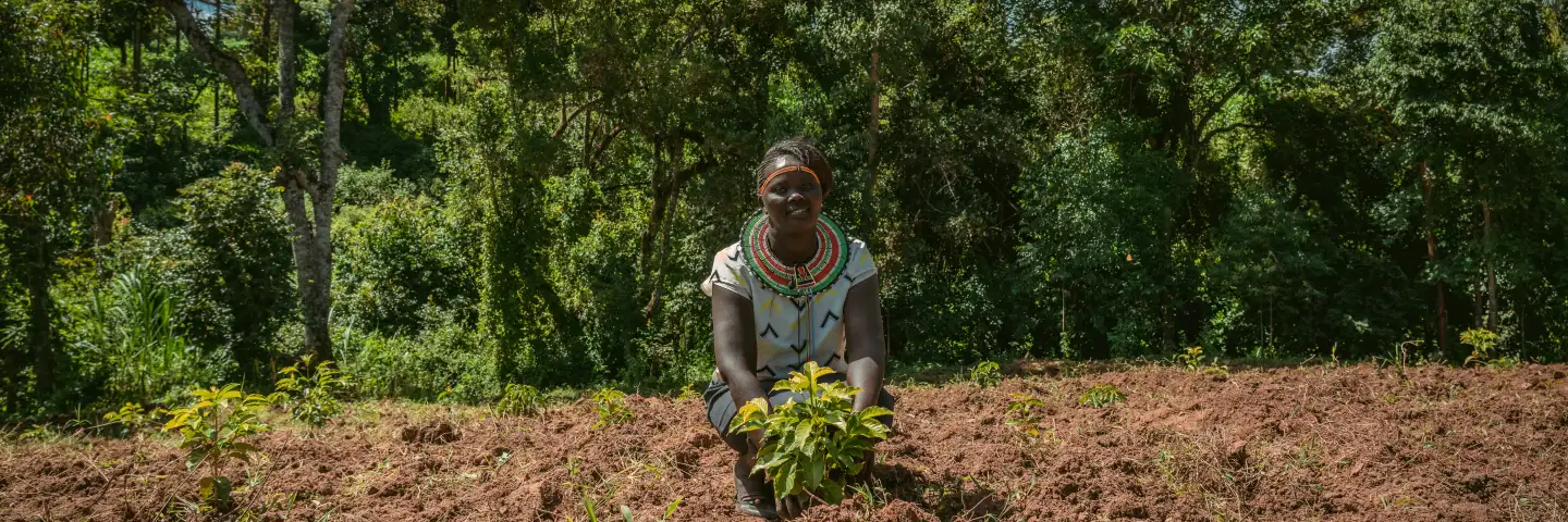 Kenyan woman, in her freshly turned field, holding the first crop she has planted while kneeling on the ground and looking at the camera