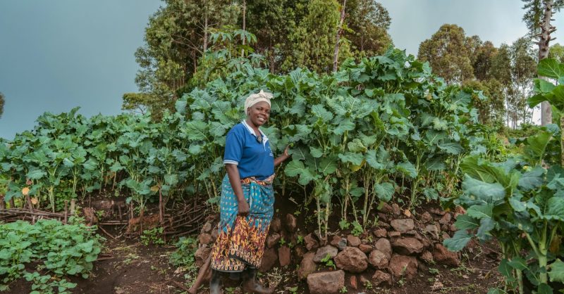 Kitchen Gardens: Climate Resilience, Nutrition & Livelihoods