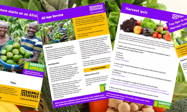 Ripple Effect Harvest Resources that you can download for free