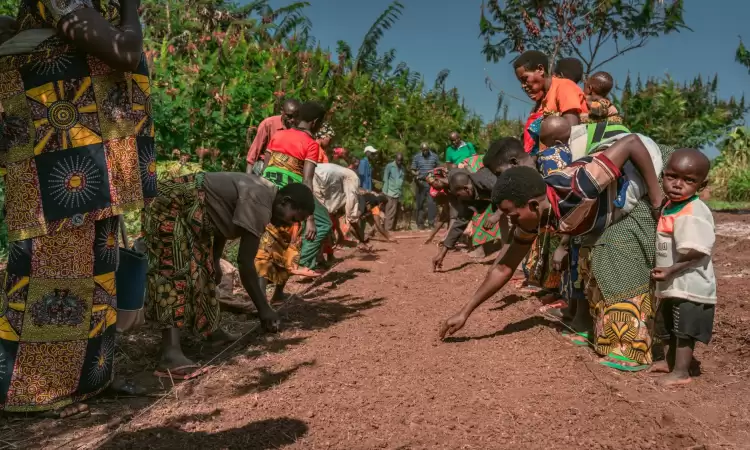 A community group in Burundi taking part in a tree-planting day