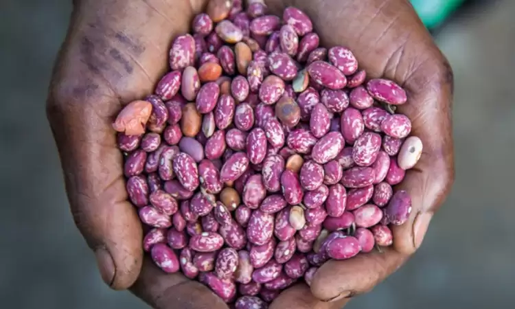 Beautiful beans charity gift