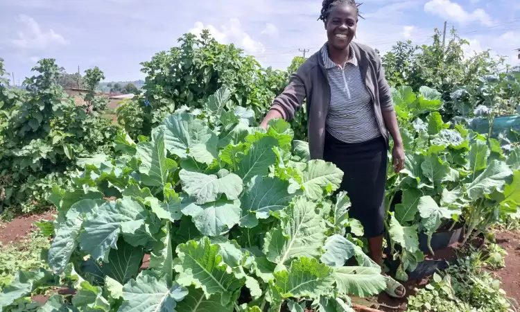 Ruth, from Kenya, standing by her kitchen garden