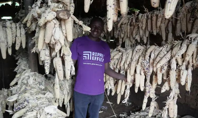 A man from Burundi, standing in a dark shed with hanging dried maize crops that he will use for next season's planting season