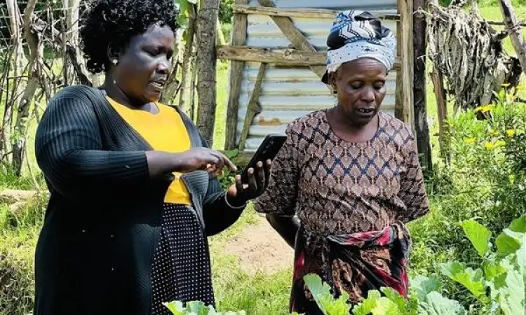 A Peer Farmer Trainer using a mobile phone while visiting a farmer’s field.