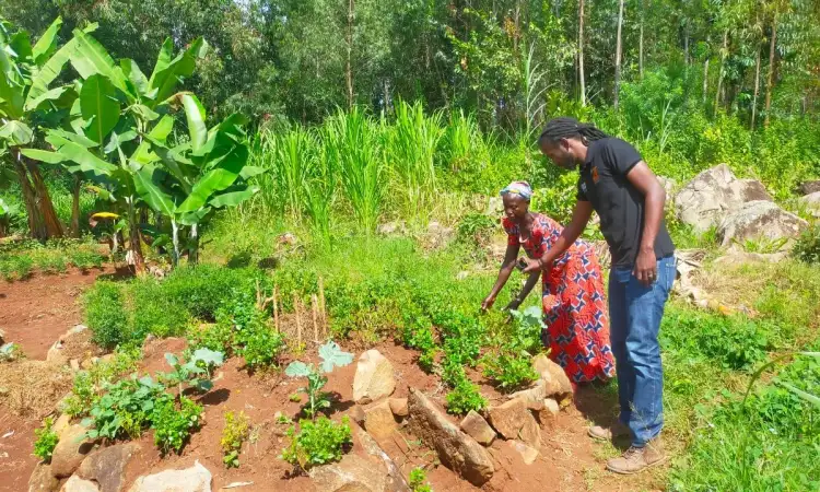 Antony, filming content of Melda, project participant in Kenya and her thriving keyhole garden