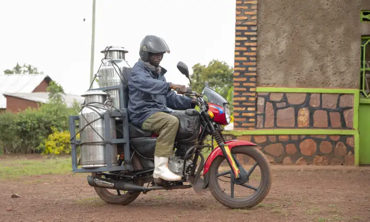 Jean de Dieu, a KOZIMURU cooperative member, transports milk from the milk collection point to the Murama Milk Collection Centre using a cooperative motorcycle
