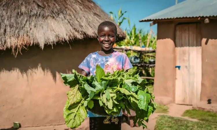 A child in a rural homestead proudly showing freshly harvested leafy vegetables.