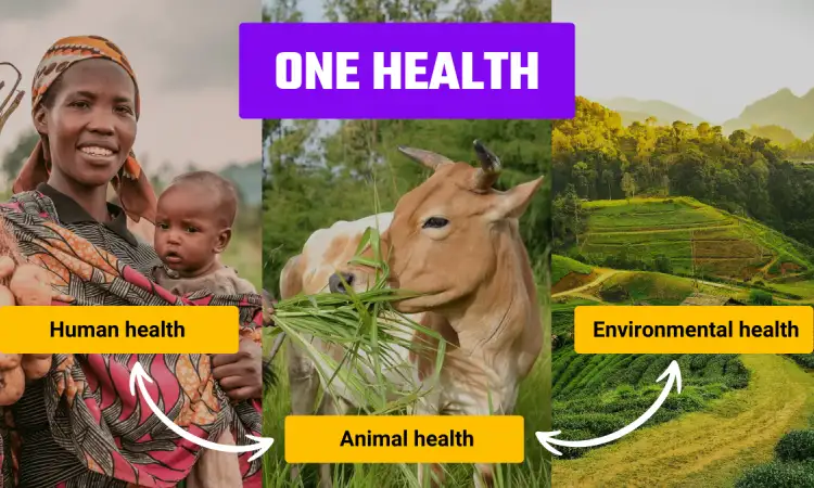 Graphic showing One Health interconnections