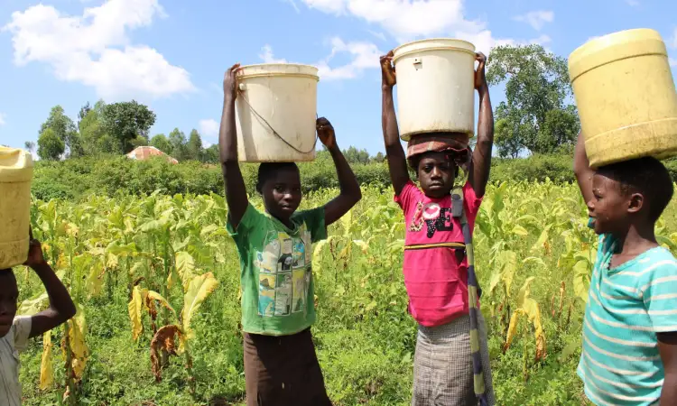 Three Kenyan children collecting water with buckets on their heads