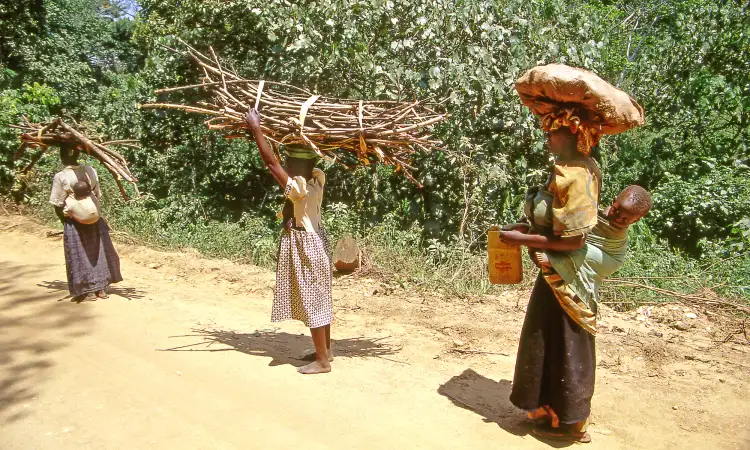 Women and girls in rural Uganda tasked with collecting firewood and water