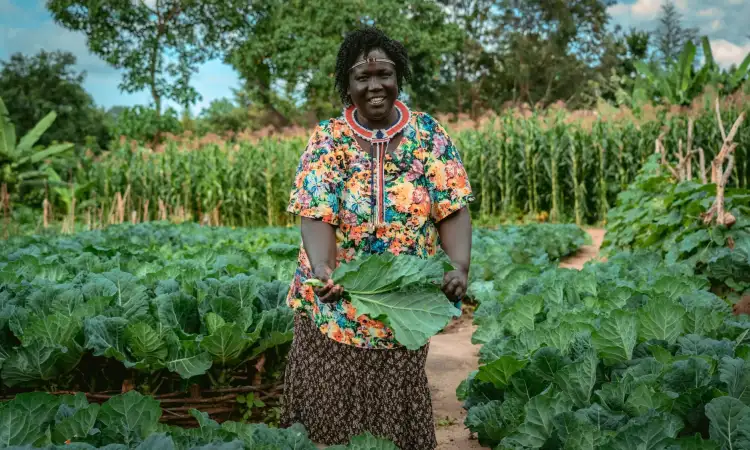 Lucy, project participant in Kenya, showing her thriving kale crops