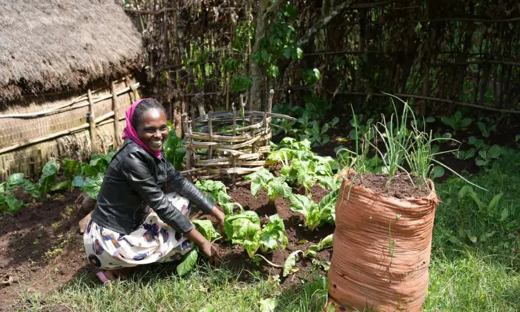 Meselech, Ripple Effect project participant in Ethiopia, tending to her kitchen garden