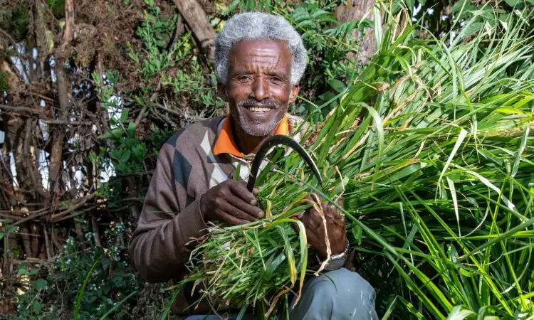 Chimdi beaming with joy after harvesting feed for his donkeys