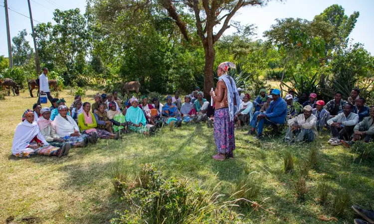 Woman-led equine working group during their regular meeting