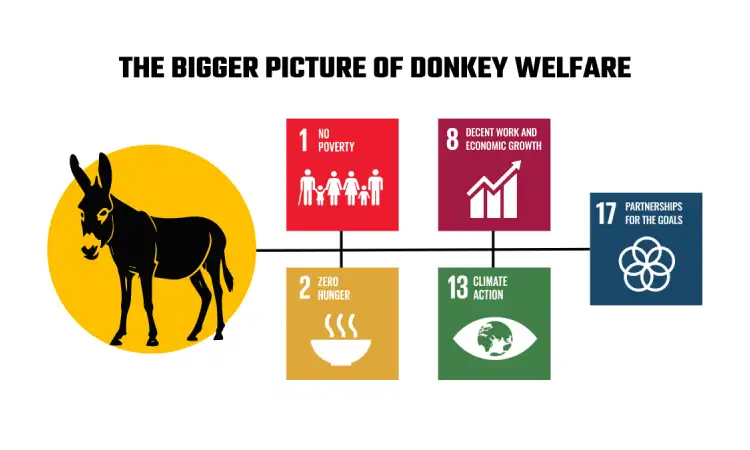 Graphic with a donkey linked to the five sustainable development goals