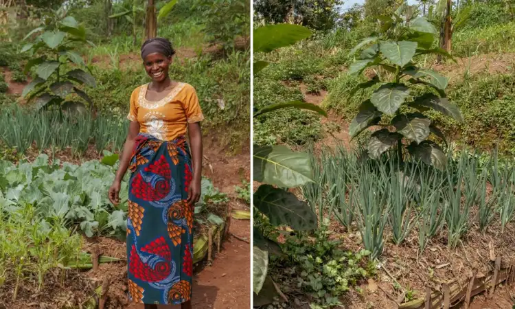 Woman standing beside a vegetable garden in rural Africa
