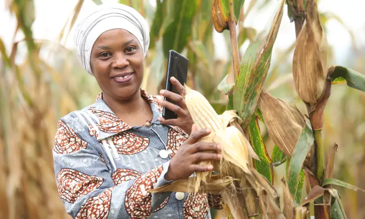 Ugandan woman in her maize field, looking to the camera and holding her phone up