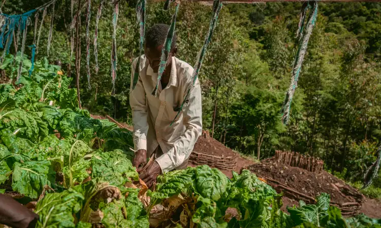 Farmers taking part in a practical training session on agroecological farming practices.