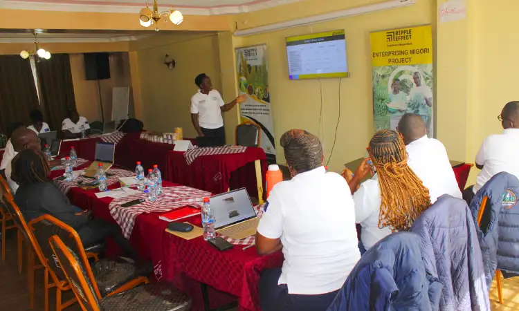Staff member presenting to colleagues during a meeting