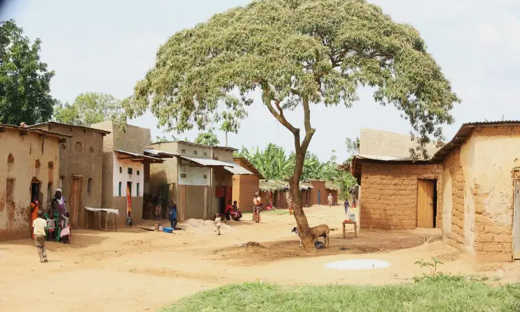 Nakivale Refugee settlement in Uganda, a large tree surrounded by small buildings