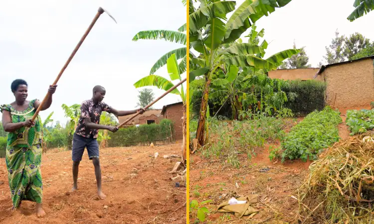 Two images side by side. The left shows a woman and young man working on barren land with some trees and a building in the background. The right is the same angle with trees and building in the background, but now the land they worked on is full of green, thriving crops.