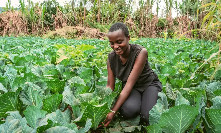 young burundian woman croutched touching her cabbages