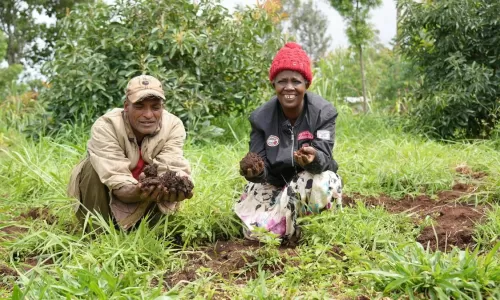 Help with food for farmers in Africa