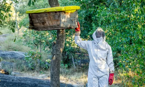 Grace Maliposa and her beehive, Zambia