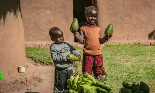Thomas and Selena's sons, holding big avocados - Kenya