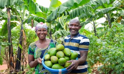 A Rwanda woman and man, holding a big bowl of avocados together, smiling