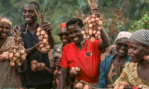 Burundian community smiling and laughing, holding up their potatoes after harvest