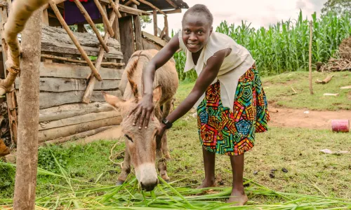 Young girl stroking her donkey and smiling to the camera
