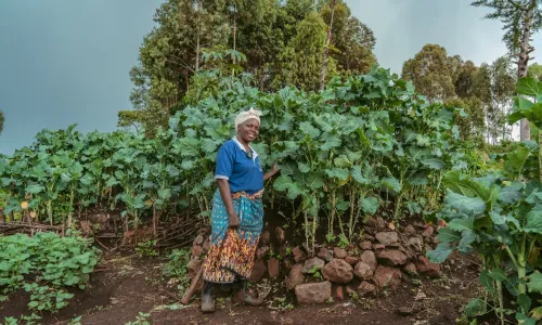Carolyne, a Kenyan farmer, posing in front of her towering kitchen garden crops